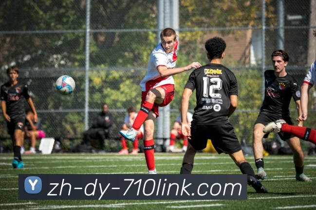 公海710线路官网平台生态图